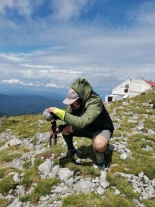 Field recording ambient nature sound